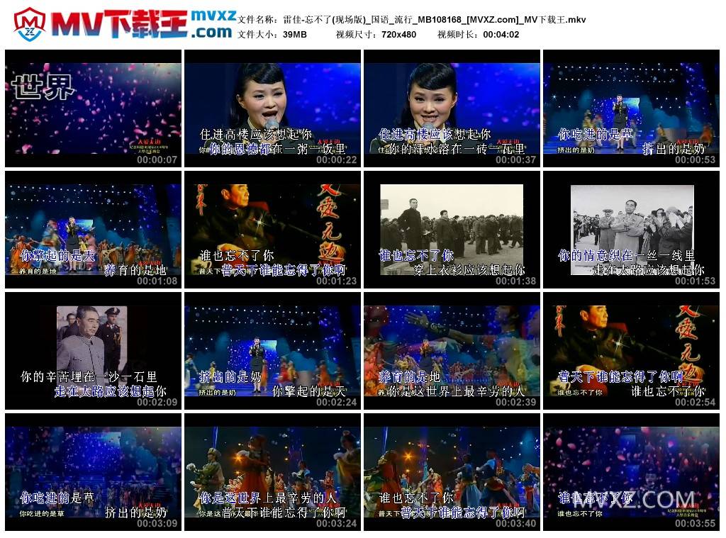 雷佳-忘不了(现场版)_国语_流行_MB108168
